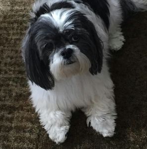 Meet your Posher, Delores